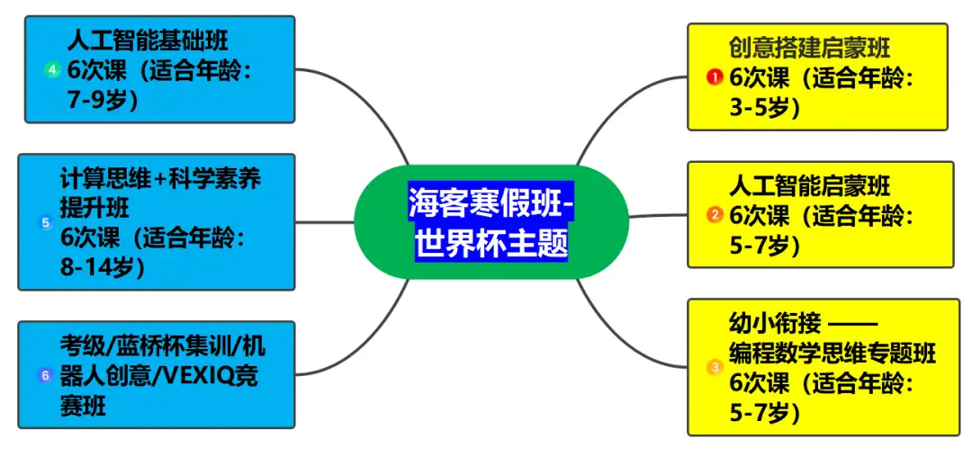 海客智能教育—世界杯主题寒假班招生啦！